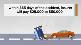 Travel Accident Insurance