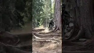 WORLD CUP RISKS 🫣 #mtb #shorts