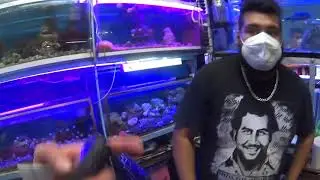 Esto sucedió en el gran aniversario del mercado de peces de Mixhuca(Mario Blogs)