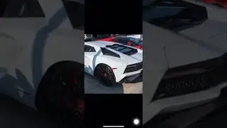 Lamborghini Roar