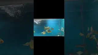 😍Under Water🌊Tunnel Aqua Exhibition&hellip;#vizag #beach road #fish #tunnel #exhibition #trending #viral