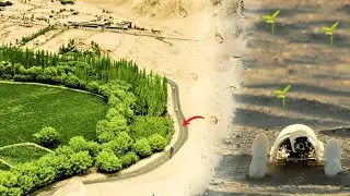 Самая большая пустыня Китая полностью окружена зелёным поясом | Удивительный ландшафт Китая
