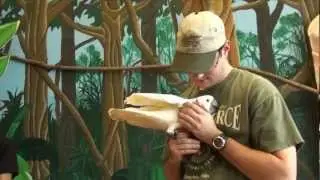 Parrots of Zoobic Park - Phillipines