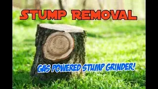 Huge Tree Stump Removal - Gas Powered Stump Grinder