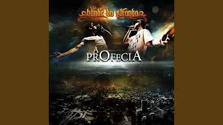 Encaixe Perfeito