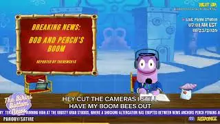 Perch Perkins has his boom bees out - AI Sponge Rehydrated clip
