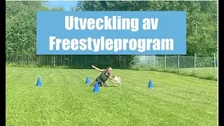 Tips om utveckling av Freestyleprogram