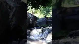Flowing River Sounds 🌊 Relax & Sleep