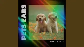 Peaceful Piano For Pets