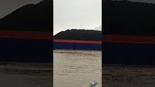 Lebih dekat dengan bayan ponton