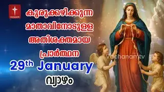 29th Jan 2026 Day 29 കുരുക്കഴിക്കുന്ന മാതാവിന്റെ അതിശക്തമായ പ്രാർത്ഥന 33 തവണ 33 ദിവസം ചൊല്ലുക #live