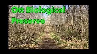Hike 40 for 40: North Country Trail, Ott Biological Preserve