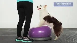FitPaws&reg; TRAX&trade; Donut with Donut Holder