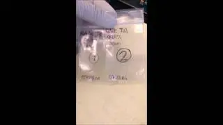 The doping effect during sintering of TiO2
