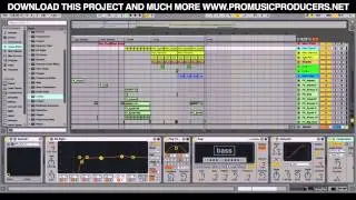 Ableton Live Project  - Cracking (Tiesto Musical Freedom Style)