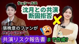 【泥沼🔥】張晩意(ジャン・ワンイー)ファンによる沈月（シェン・ユエ）への「リスク評価報告書」が容赦なさすぎる！