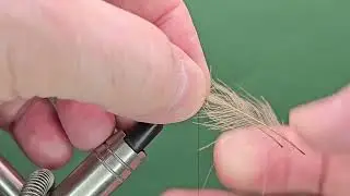 CDC Sedge - One Fly A Day