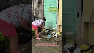 May 19, 2025 MASAYA NA NAMAN AT BUSOG ANG MGA HOMELESS CATS