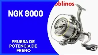 NGK 8000 POTENCIA DE FRENO REAL ¡  LE EXIGIMOS AL MÁXIMO ¡¡
