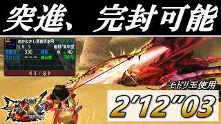 【MHXX】村G級テオを研究し、