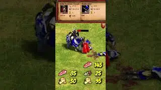 Elite Teutonic Knight vs Champion, Halberdier & Paladin | The Three Kingdoms | AoE2 #Shorts
