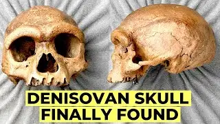 Ancient DNA Reveals The REAL Origin of Denisovans &mdash; From Siberia to a Chinese Skull