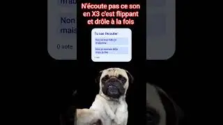 N'&eacute;coute pas ce son en X3 #music #funny