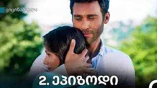 ციცინათელა 2-ე სერია (Kartuli Dublaji)