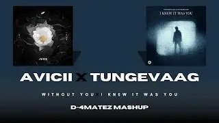AVICII x TUNGEVAAG -  Without You X I Knew It Was You (D-4MATEZ MASHUP)