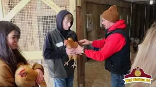 Introducing West Michigan FFA: A Partnership between HCS & Critter Barn