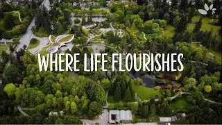 Visit VanDusen Botanical Garden