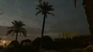 &ldquo;Cinematic Nighttime Forest | Stunning Trees Under the Moonlight | Relaxing Nature Video&rdquo;