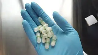 Process and result of enteric film coating of hard gelatin capsules | BIOGRUND