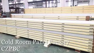 Cold Room PU/PIR/PUR Insulation Panel - CZPBC