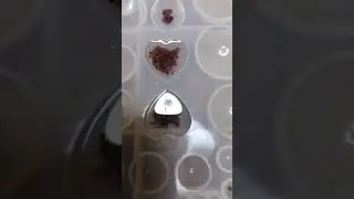 Why I do the Gem Recovery