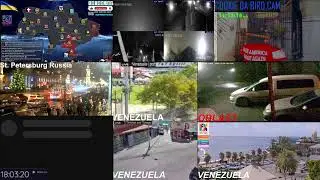 KERNEL PANIC's War & news and info...#bird #ukrainewar #russianwar #livecameras #putin #war