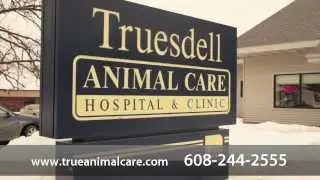 Truesdell Animal Care Hospital and Clinic - Short | Madison, WI