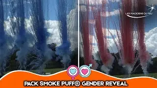 Pack Smoke Puff&reg; gender reveal GIRL/BOY
