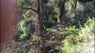 Welcome to Quinta Do Lobo Part 3