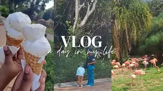 VLOG: Spend the day with me and my family at the Pretoria Zoo |