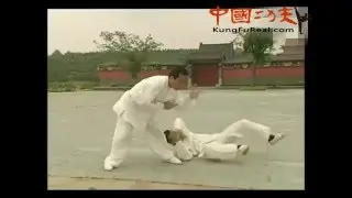 tai chi praying mantis kung fu combat practice