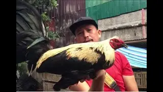 KARAAN NGA LAMBUHOM 3500 SA TABUNOK CEBU