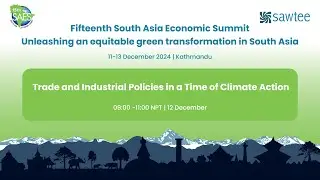 Trade and industrial policies in a time of climate action | 12 December 2024