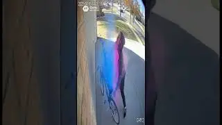 These Porch Thieves Picked the WRONG House (Paint Trap Compilation)