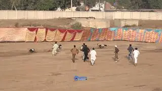 National Greyhound Derby Faisalabad / Gill Greyhound Kannel @ExplorePotohar 