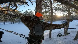 South Dakota Deer hunting on a Golf Course!! (Catch and Cook)