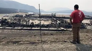 Farmer returns to B.C. dairy farm destroyed by wildfire