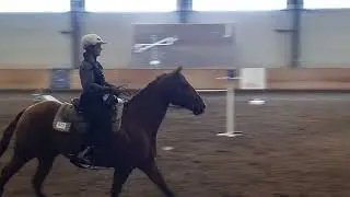 Novice B Ease of Handling, Prairie West Working Equitation Olds Show 2024