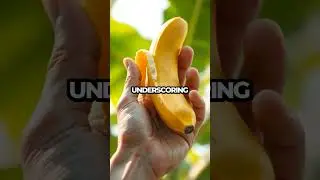Mind-Blowing DNA Connection: Humans and Bananas Are 99% Alike!