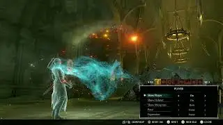 Demon's Souls Remake Any% Glitchless Guide Part 1 [EN]